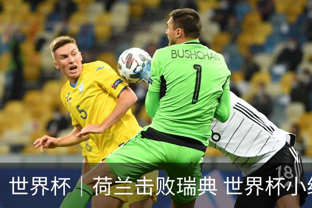世界杯｜荷兰击败瑞典 世界杯小组赛连续18场不败